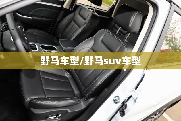 野马车型/野马suv车型