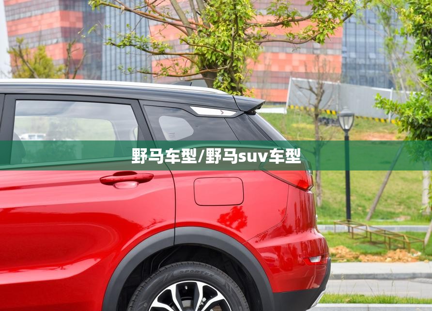 野马车型/野马suv车型