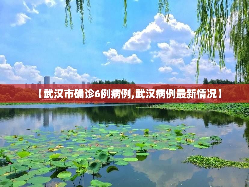 【武汉市确诊6例病例,武汉病例最新情况】
