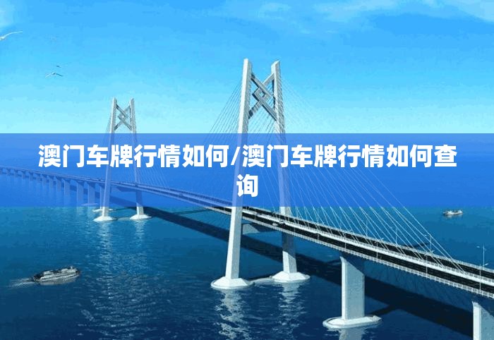 澳门车牌行情如何/澳门车牌行情如何查询