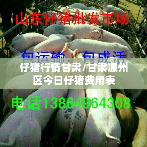 仔猪行情甘肃/甘肃凉州区今日仔猪费用表