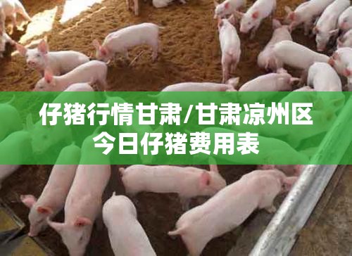 仔猪行情甘肃/甘肃凉州区今日仔猪费用表