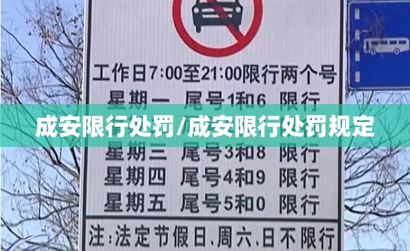 成安限行处罚/成安限行处罚规定