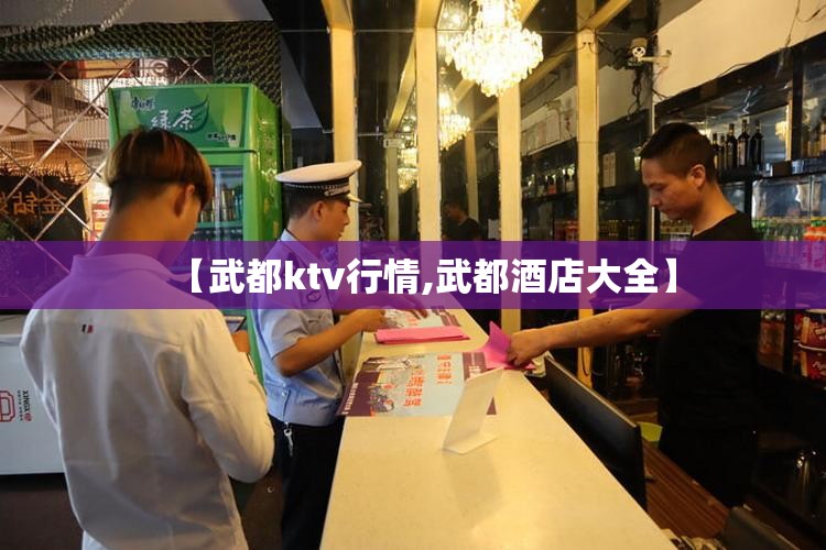 【武都ktv行情,武都酒店大全】