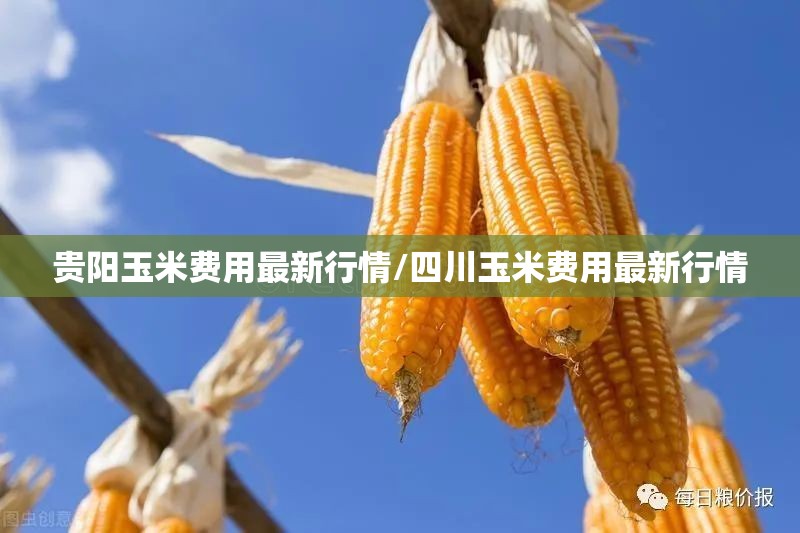 贵阳玉米费用最新行情/四川玉米费用最新行情