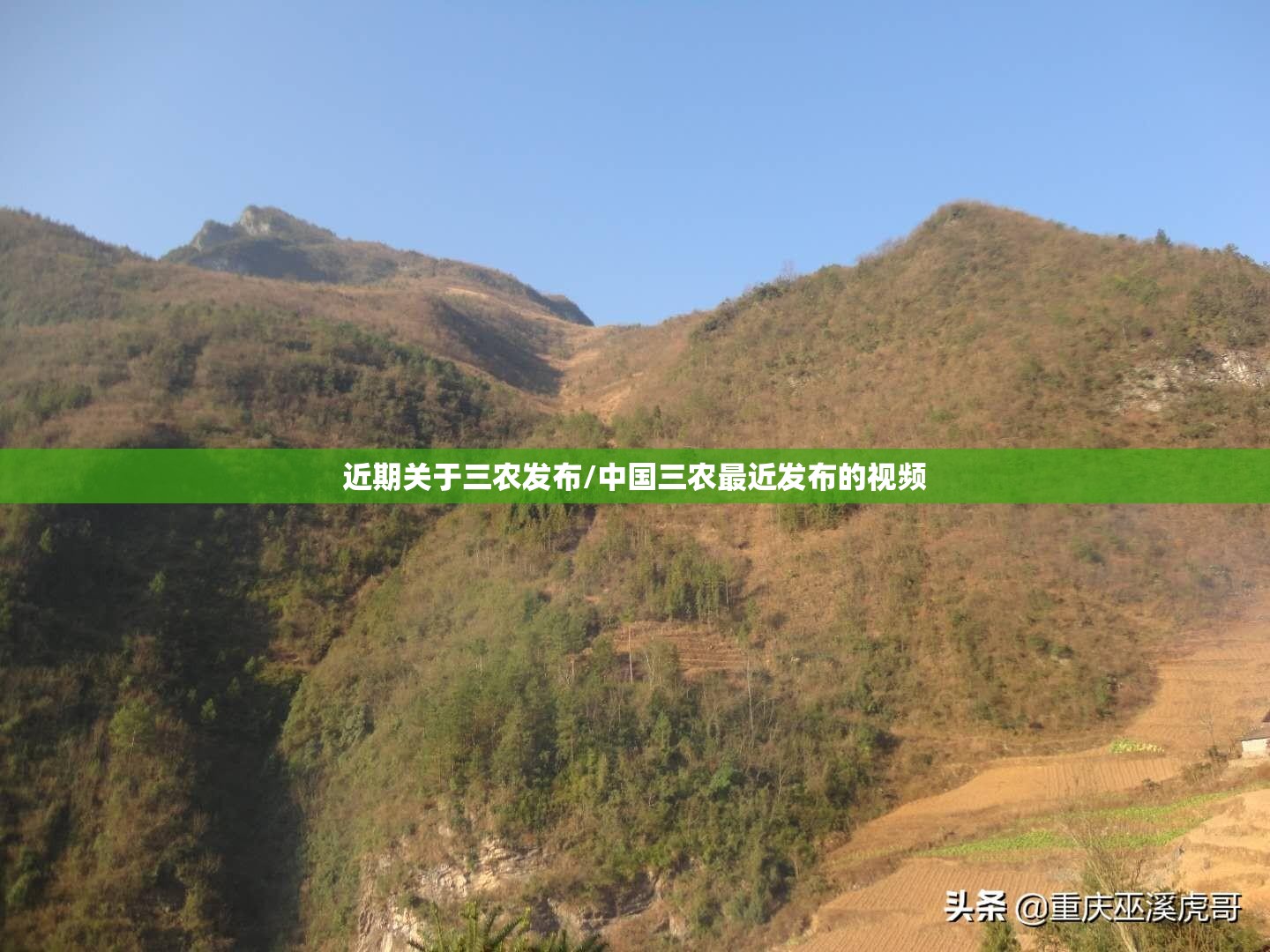 近期关于三农发布/中国三农最近发布的视频
