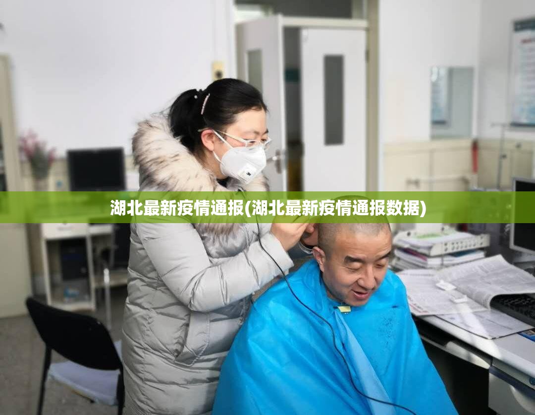 湖北最新疫情通报(湖北最新疫情通报数据)