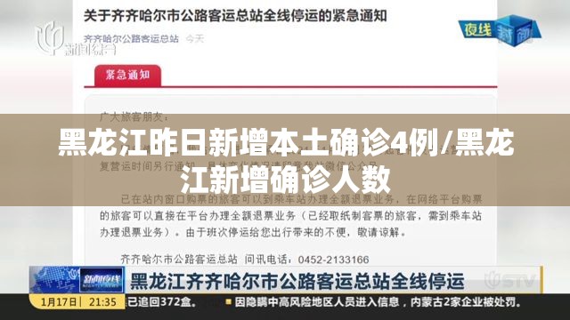 黑龙江昨日新增本土确诊4例/黑龙江新增确诊人数