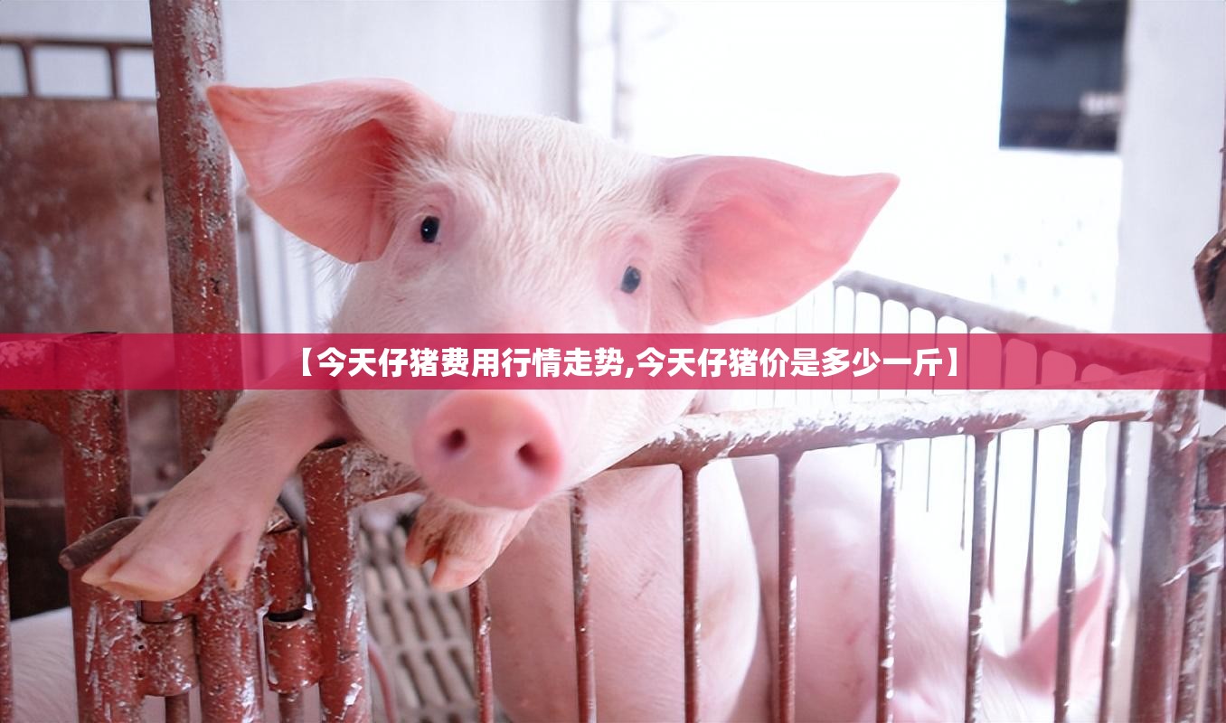 【今天仔猪费用行情走势,今天仔猪价是多少一斤】