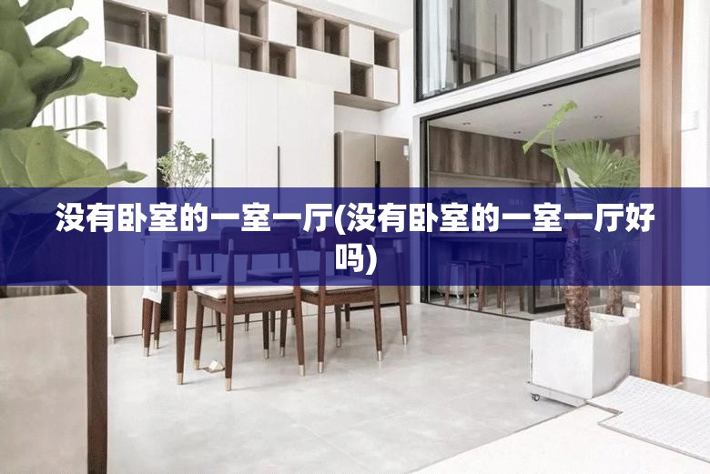 没有卧室的一室一厅(没有卧室的一室一厅好吗)