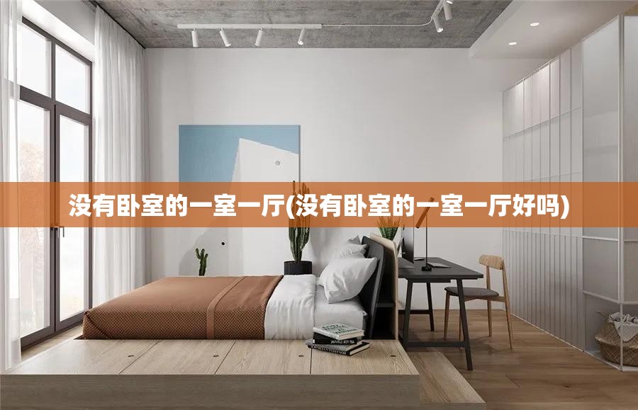 没有卧室的一室一厅(没有卧室的一室一厅好吗) 没有卧室的一室一厅(没有卧室的一室一厅好吗)