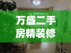 万盛二手房精装修(万盛58二手房出售)