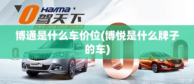 博通是什么车价位(博悦是什么牌子的车)