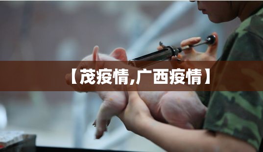 【茂疫情,广西疫情】