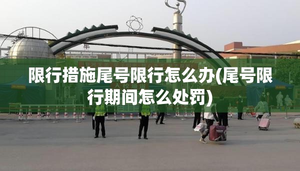 限行措施尾号限行怎么办(尾号限行期间怎么处罚)