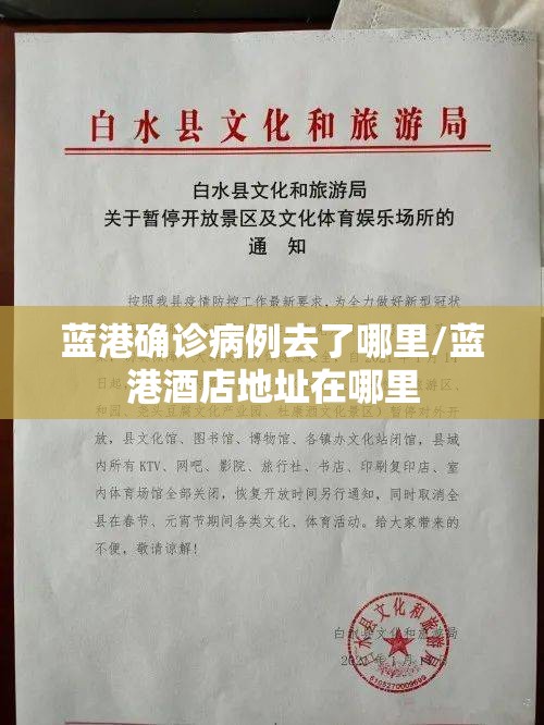 蓝港确诊病例去了哪里/蓝港酒店地址在哪里