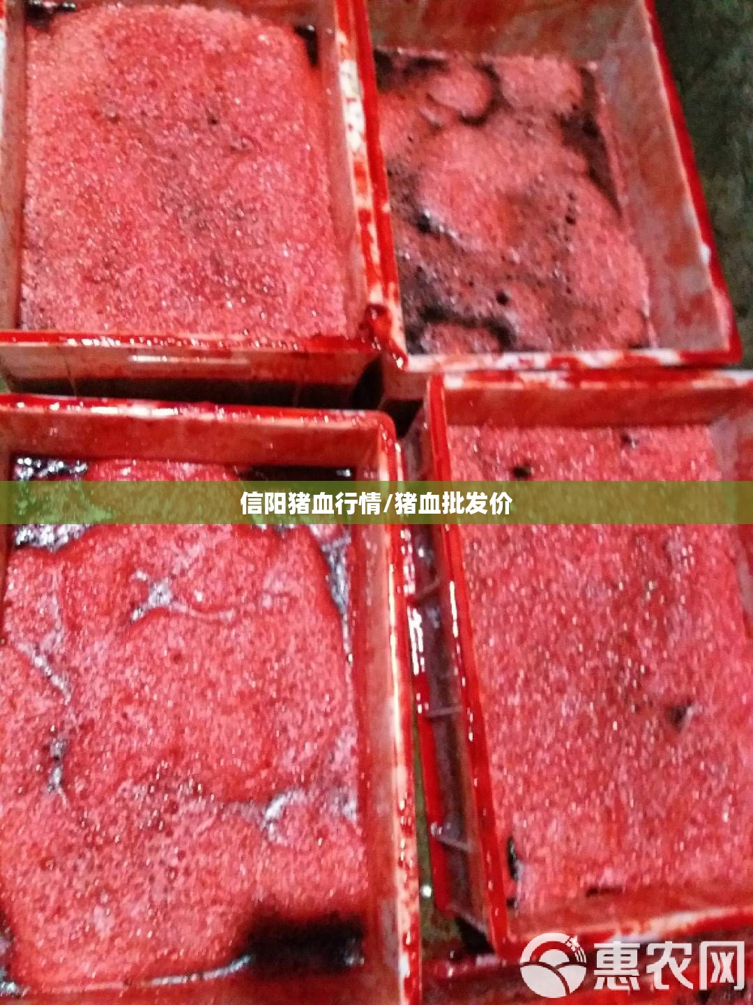 信阳猪血行情/猪血批发价 信阳猪血行情/猪血批发价