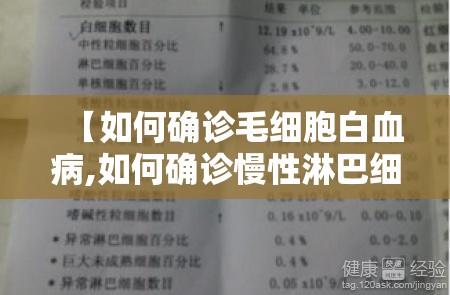 【如何确诊毛细胞白血病,如何确诊慢性淋巴细胞白血病】 【如何确诊毛细胞白血病,如何确诊慢性淋巴细胞白血病】