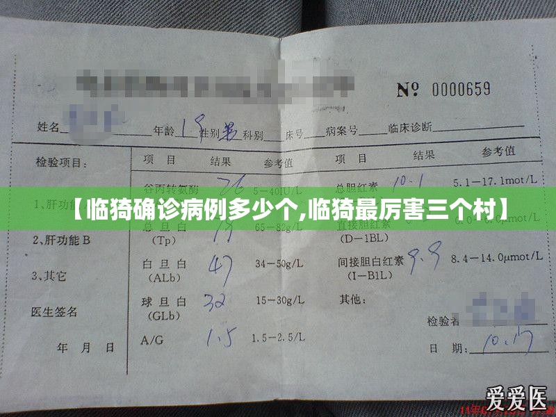 【临猗确诊病例多少个,临猗最厉害三个村】