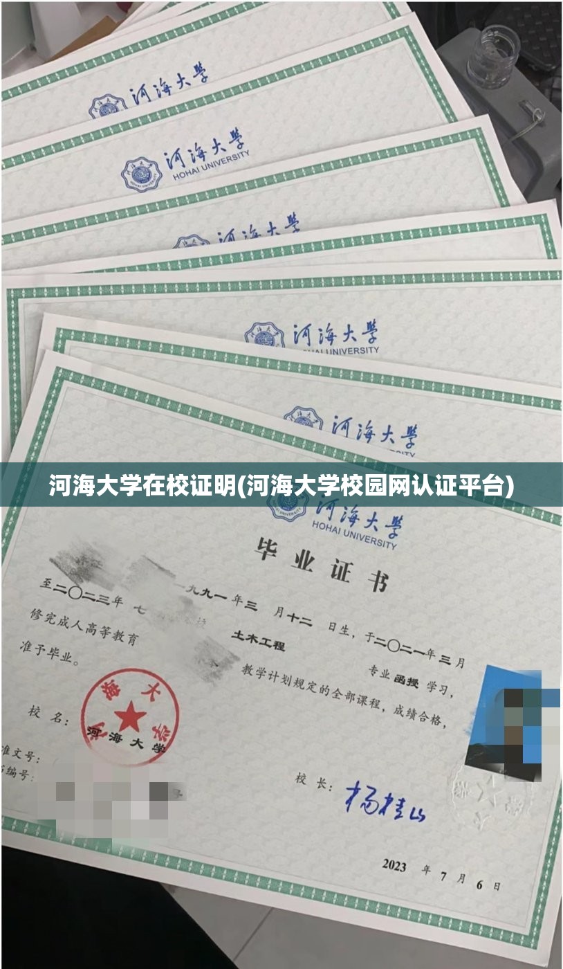河海大学在校证明(河海大学校园网认证平台) 河海大学在校证明(河海大学校园网认证平台)