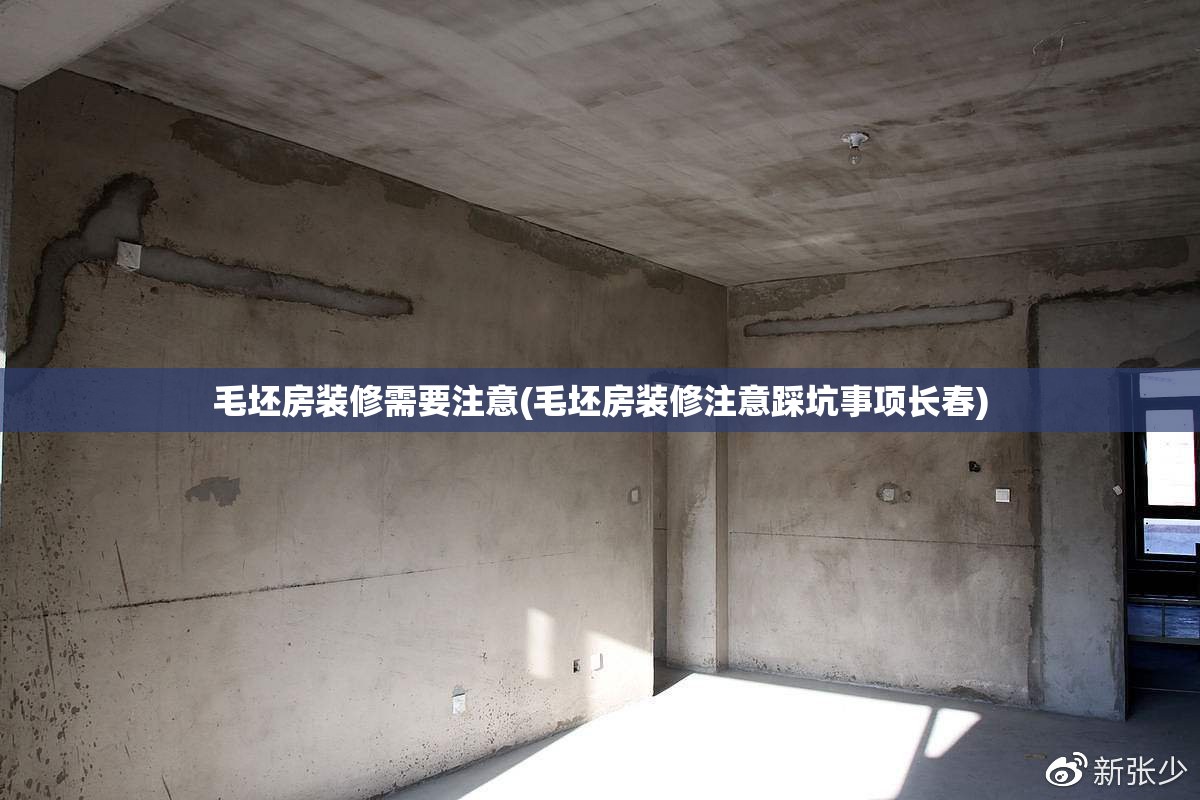 毛坯房装修需要注意(毛坯房装修注意踩坑事项长春)