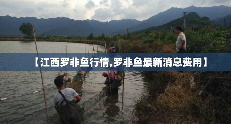 【江西罗非鱼行情,罗非鱼最新消息费用】 【江西罗非鱼行情,罗非鱼最新消息费用】