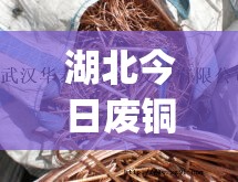 湖北今日废铜费用行情(湖北今天废铜费用)