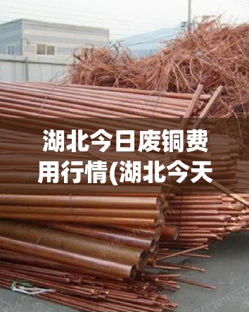 湖北今日废铜费用行情(湖北今天废铜费用) 湖北今日废铜费用行情(湖北今天废铜费用)