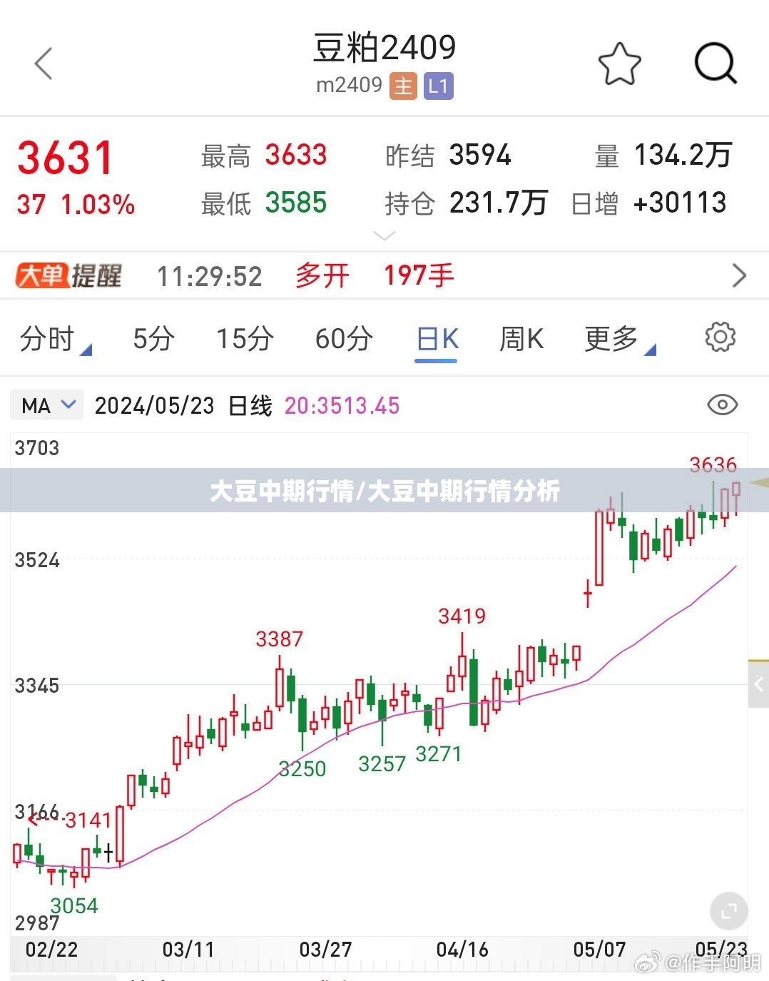 大豆中期行情/大豆中期行情分析