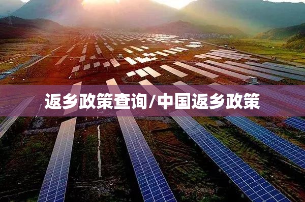 返乡政策查询/中国返乡政策