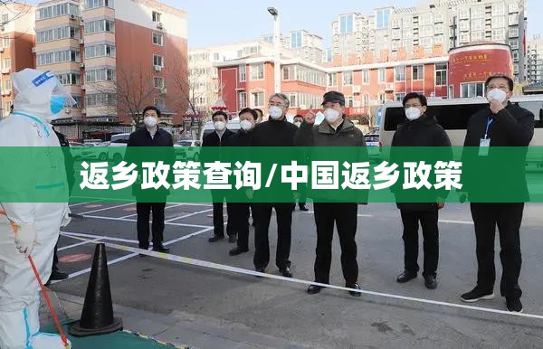 返乡政策查询/中国返乡政策