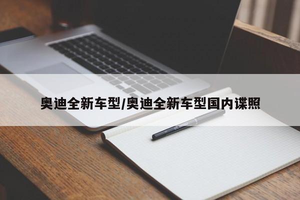 奥迪全新车型/奥迪全新车型国内谍照