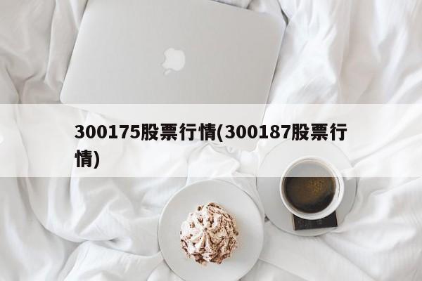300175股票行情(300187股票行情)