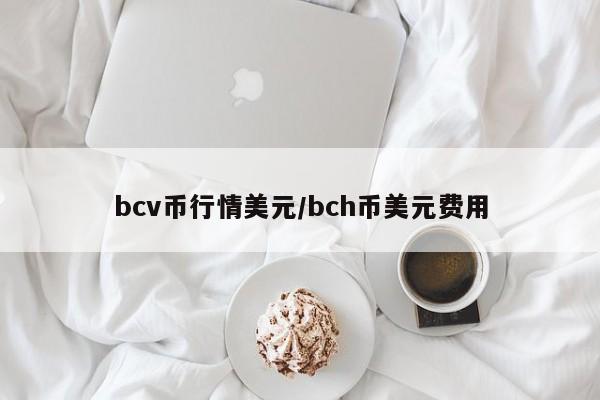 bcv币行情美元/bch币美元费用