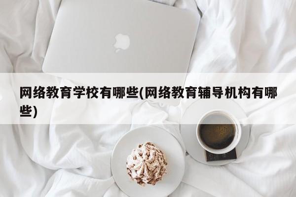 网络教育学校有哪些(网络教育辅导机构有哪些)