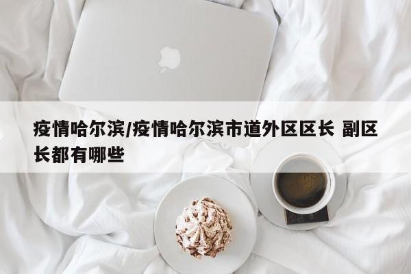 疫情哈尔滨/疫情哈尔滨市道外区区长 副区长都有哪些