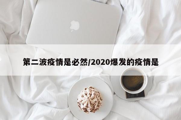 第二波疫情是必然/2020爆发的疫情是