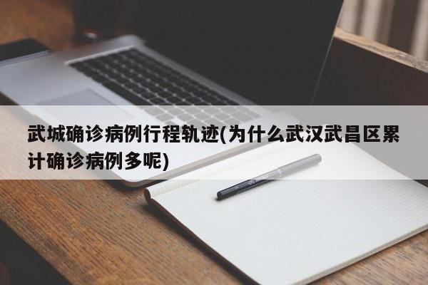 武城确诊病例行程轨迹(为什么武汉武昌区累计确诊病例多呢)