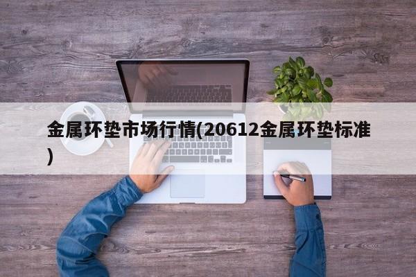 金属环垫市场行情(20612金属环垫标准)
