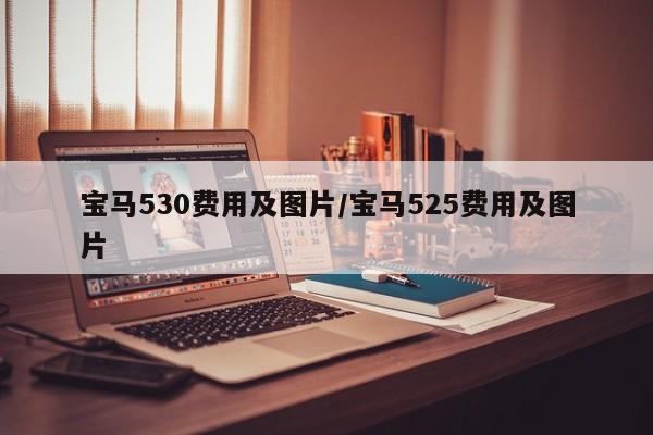 宝马530费用及图片/宝马525费用及图片
