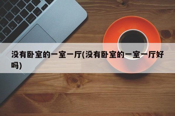 没有卧室的一室一厅(没有卧室的一室一厅好吗)